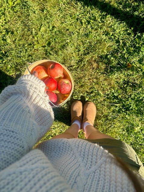 15 Cute Fall Date Ideas That Aren’t Dinner and a Movie 🍂🤎